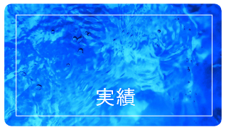 実績